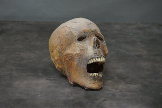 Memphis Mummy Skull
