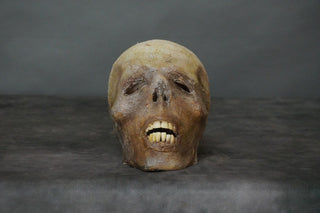 Tarim Mummy Skull