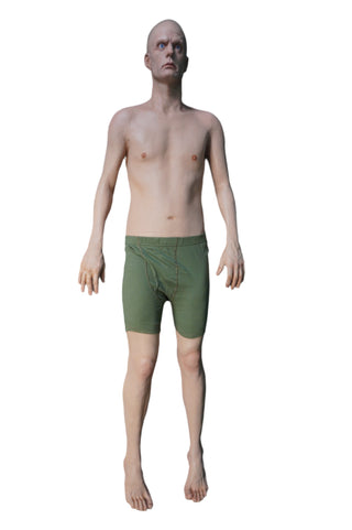 Frank Full Body