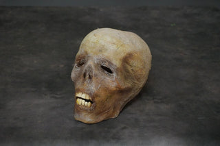 Tarim Mummy Skull