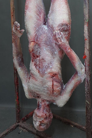 Frozen Luttra Dangler Body