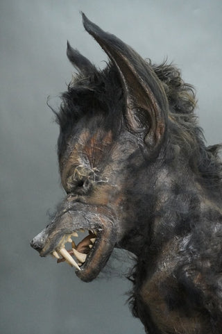 Werewolf Mummy