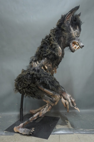 Werewolf Mummy