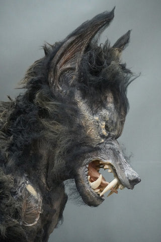 Werewolf Mummy