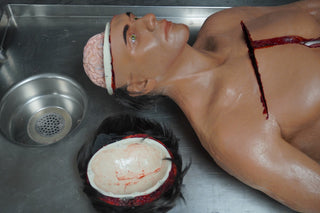 Autopsy David with Removable Skull Cap and Brain