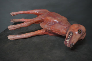 Bloody Skinned Coyote