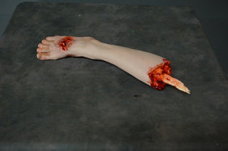 Gunshot Nick Half Legs with Exposed Bones