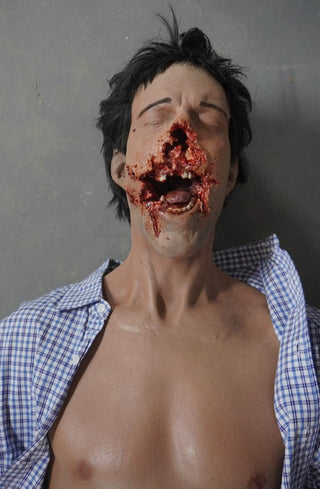 Smashed Face Martin Half Anatomical Dummy