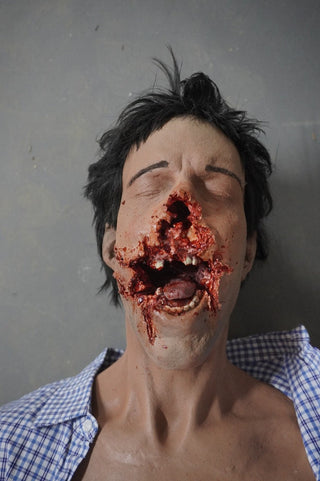Smashed Face Martin Half Anatomical Dummy