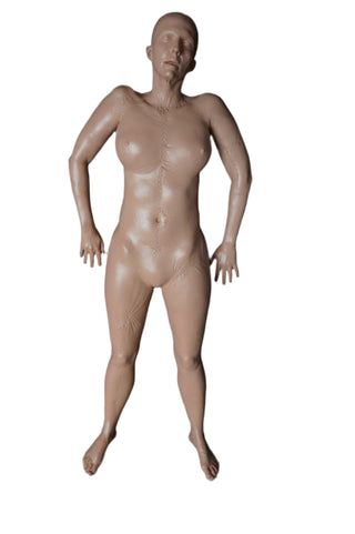 Budget Body Meredith