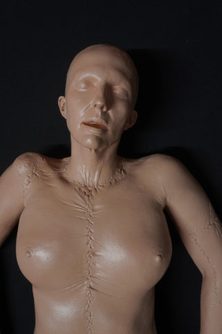 Budget Body Meredith