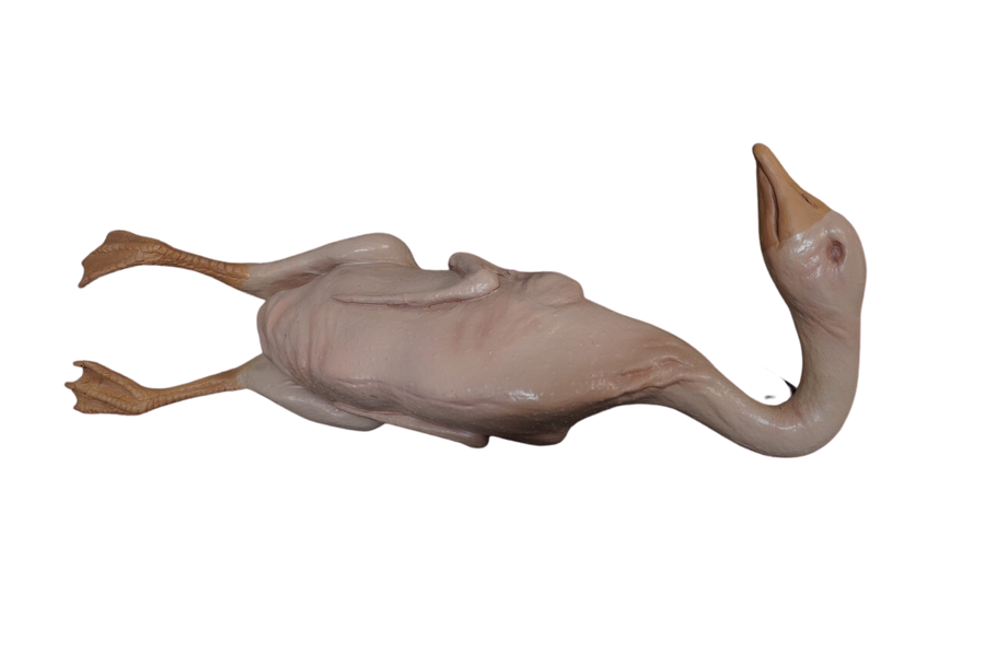 Butcher Shop Props for Halloween & Productions – Dapper Cadaver Props