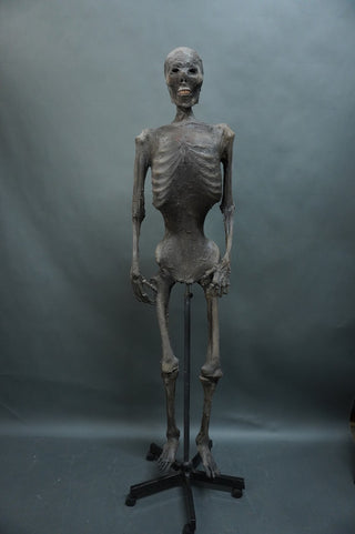 Unwrapped Tut Mummy Prop