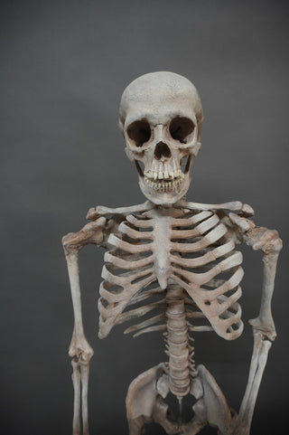 Natural Replica Child Skeleton Prop