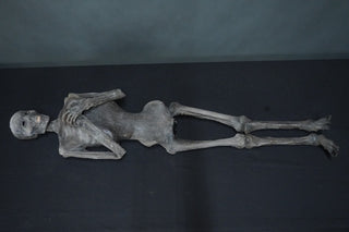 Unwrapped Tut Mummy Prop