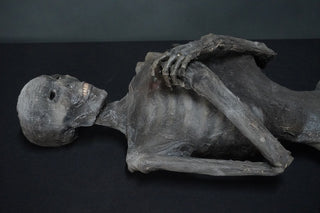 Unwrapped Tut Mummy Prop
