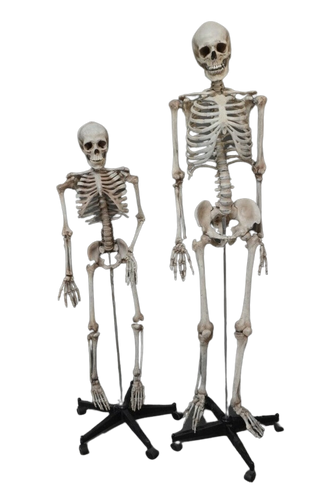 Natural Replica Child Skeleton Prop