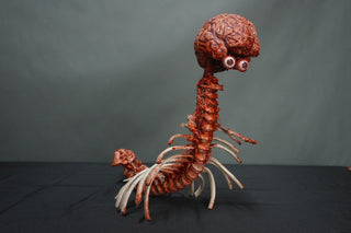 Spinalpede