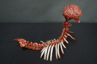 Spinalpede