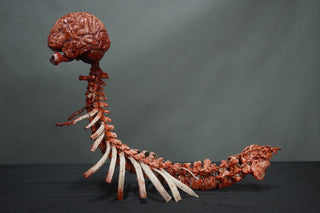 Spinalpede
