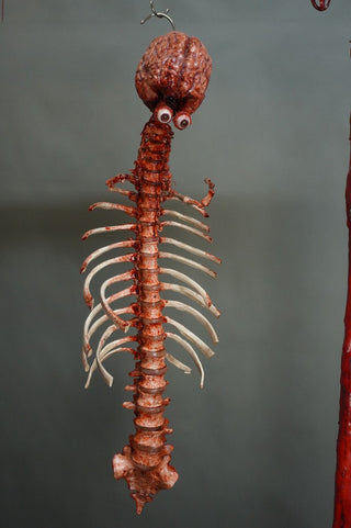 Spinalpede