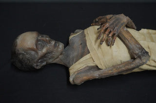 Egyptian Wrapped Psusennes I Mummy