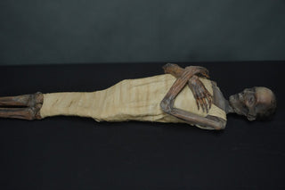 Egyptian Wrapped Psusennes I Mummy