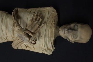 Egyptian Wrapped Psusennes I Mummy