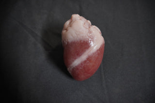 Lifesize Heart, Silicone Rubber