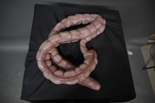 Silicone Large Intestine