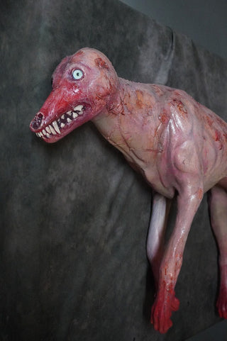 Putrid Coyote Prop