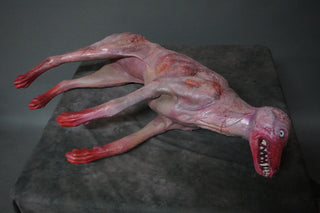Putrid Coyote Prop