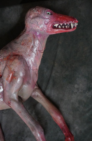 Putrid Coyote Prop