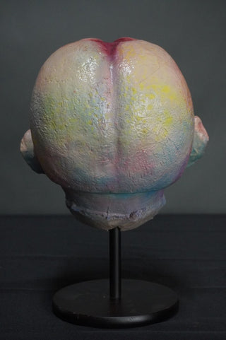 Triclops Head