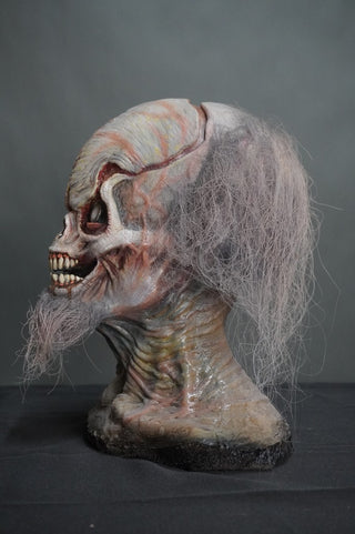 Duggery the Living Skull Head