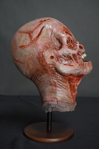 Flayer Head