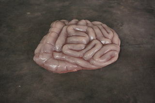 Sculpted Flatback Intestines, Silicone Rubber