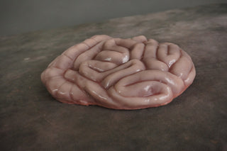 Sculpted Flatback Intestines, Silicone Rubber