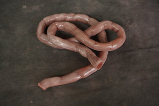 Silicone Small  Intestine