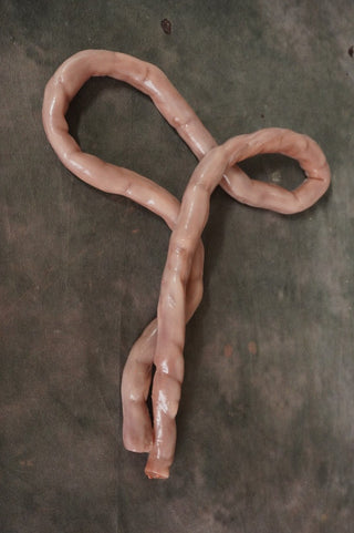 Silicone Small  Intestine