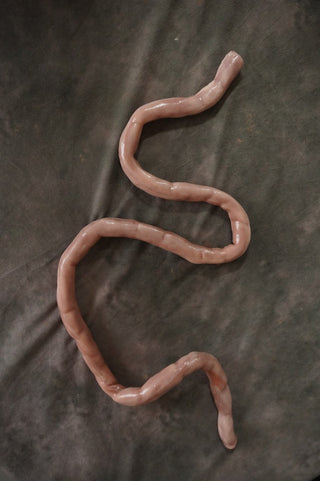 Silicone Small  Intestine