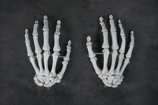 Skeleton Hands Pair