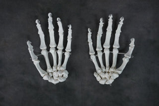Skeleton Hands Pair