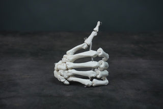 Skeleton Hands Pair