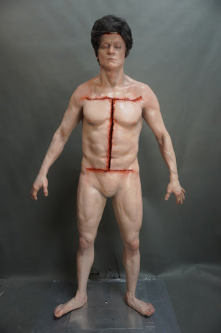 Standing Autopsy Jack with Removable Skull Cap and Brain