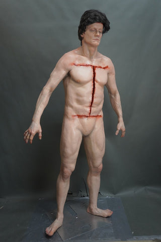 Standing Autopsy Jack with Removable Skull Cap and Brain