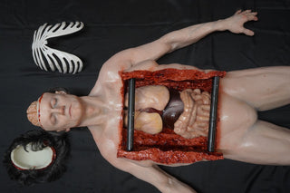 Standing Autopsy Jack with Removable Skull Cap and Brain