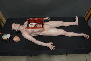 Standing Autopsy Jack with Removable Skull Cap and Brain