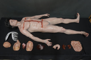 Standing Autopsy Jack with Removable Skull Cap and Brain