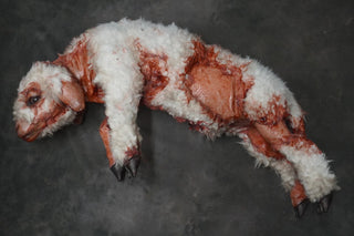 Wounded Lamb